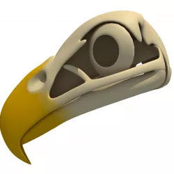 Bones of Eagle Skull 3D model