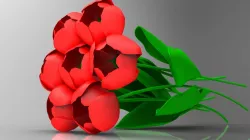 Bouquet of Tulips