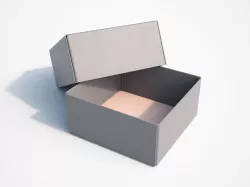 Box Cap 3D model