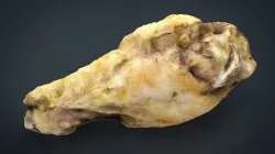 Chiken Wing 1 Low-poly  3D model