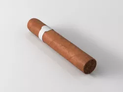 Cigar 3D model