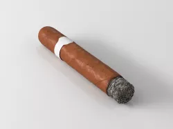 Cigar lit 3D model