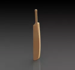 Cricket Bat