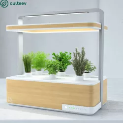 Culteev Basile 3D model