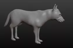 dog model 3D model
