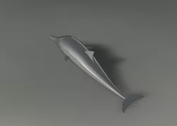 Dolphin