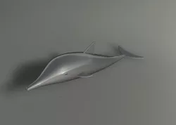 Dolphin