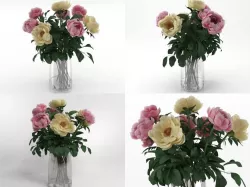 F 3D model