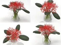 F 3D model