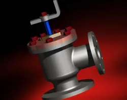Feed Check Valve