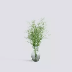 Fern Bush 3D model