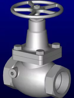Globe Valve
