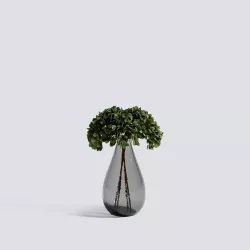 Green Hydrangea Stem 3D model