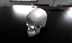 human skeleton