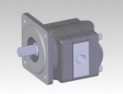 Hydraulic motor