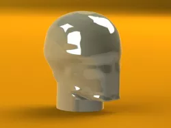 model head