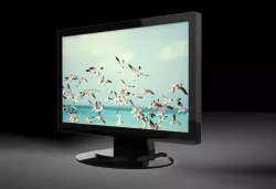 monitor 15.6 inç