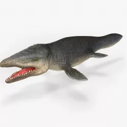 Mosasaurus Low-poly  3D model