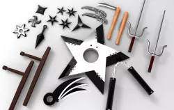 Ninja's weapons