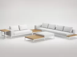 O  C  S  C  C 3D model