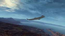 Onewing