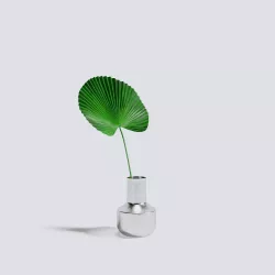 Palm Leaf 3D model