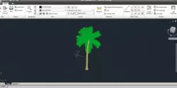 Palm Oil Tree Drawing