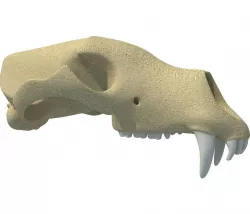 Panda Skull  3D model