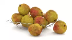 Pears 3D model