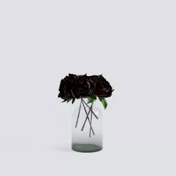 Plum Peony 3D model