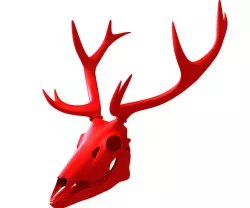 Printable Deer Skull 3D model