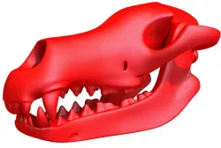 Printable Dog Skull 3D model