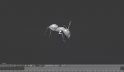 Realistic Ant Model 3D model