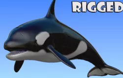 Rigged Orca Low-poly  3D model