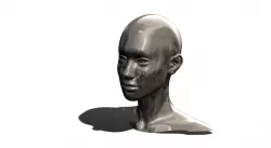 SCALED HEAD