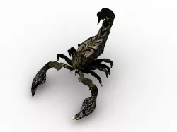 Scorpion 3D model