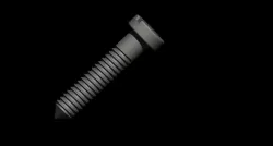 Screw