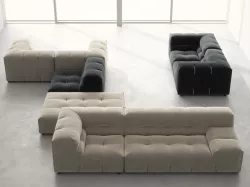 T  T  C  3D model
