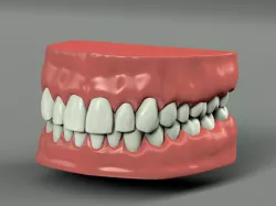 Teeth 3D model