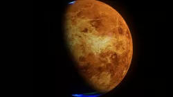 Venus 8k 3D model