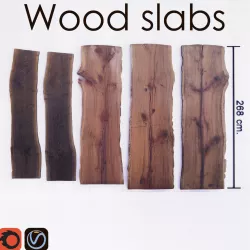 Wood Slab Table 3D model