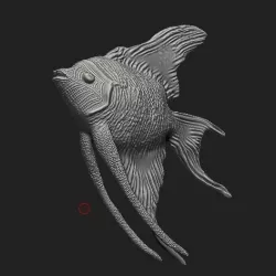 Angelfish sculpt 3D model