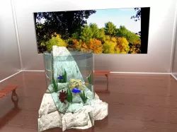 aquarium