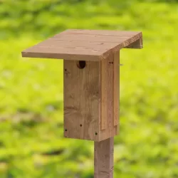 Birdhouse for Bluebirds 3D model