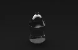 bottle