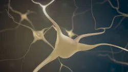 Brain Neurons  3D model