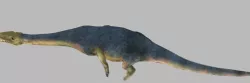 dinosaur 3D model