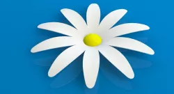 Flower for 3D print