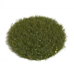 Grass 3D model