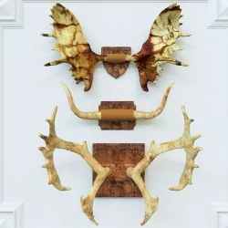 Horns 3D model